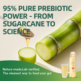 Prebiotic Plant-Based Sweetener